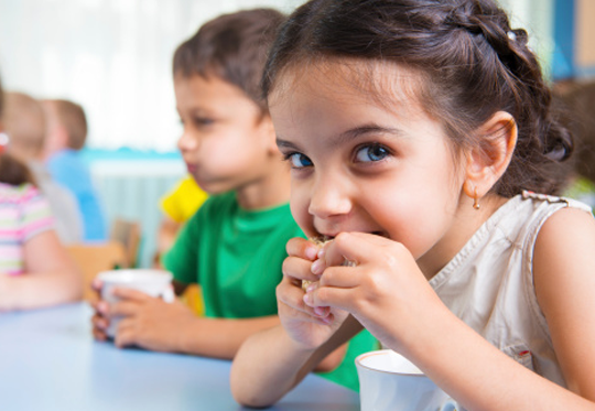 【永久授权码】免费获取的免费ddos在线攻击